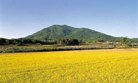 10익산-미륵산